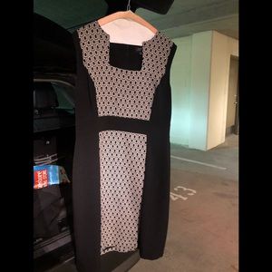 Tahari Dress